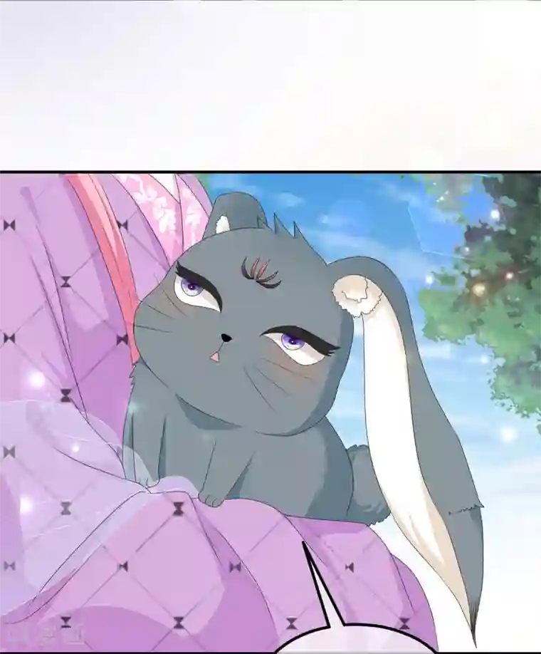 狐妃,别惹我第68话 云府逸闻