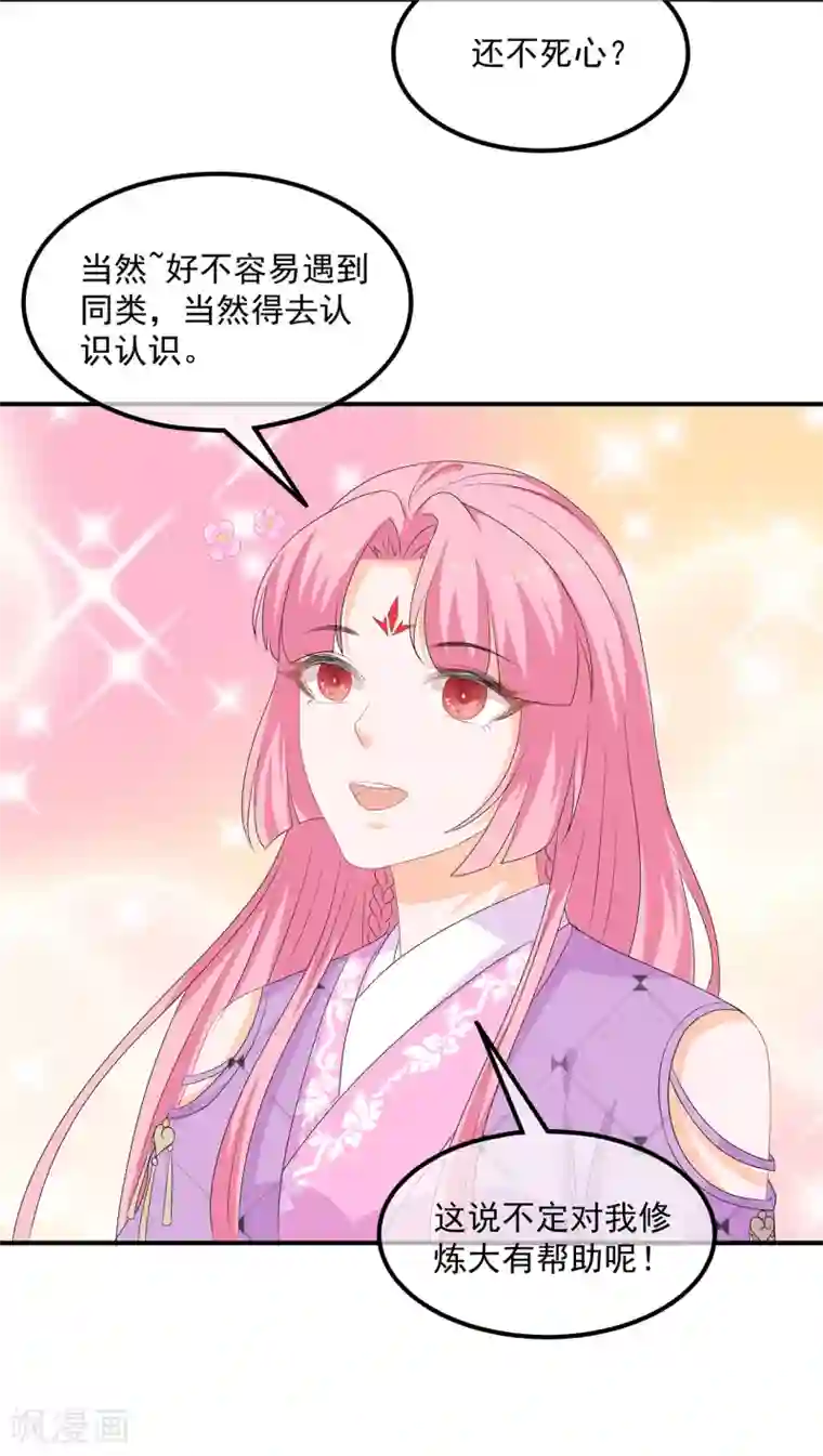 狐妃,别惹我第68话 云府逸闻