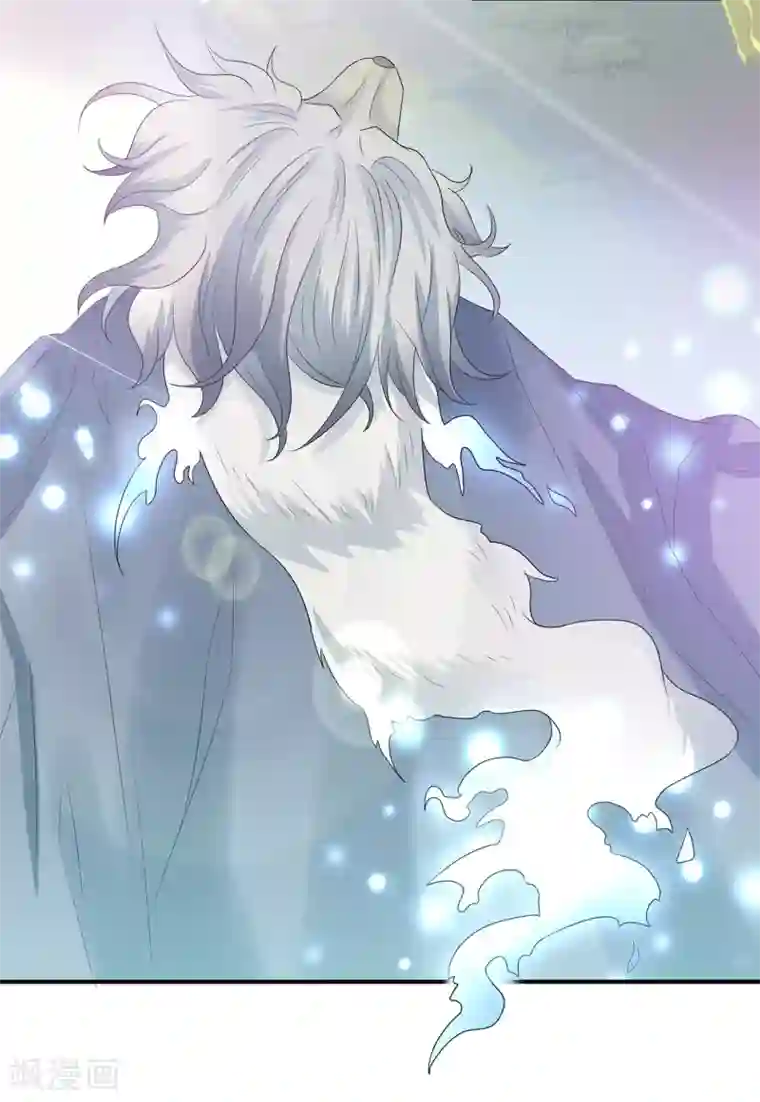 狐妃,别惹我第68话 云府逸闻