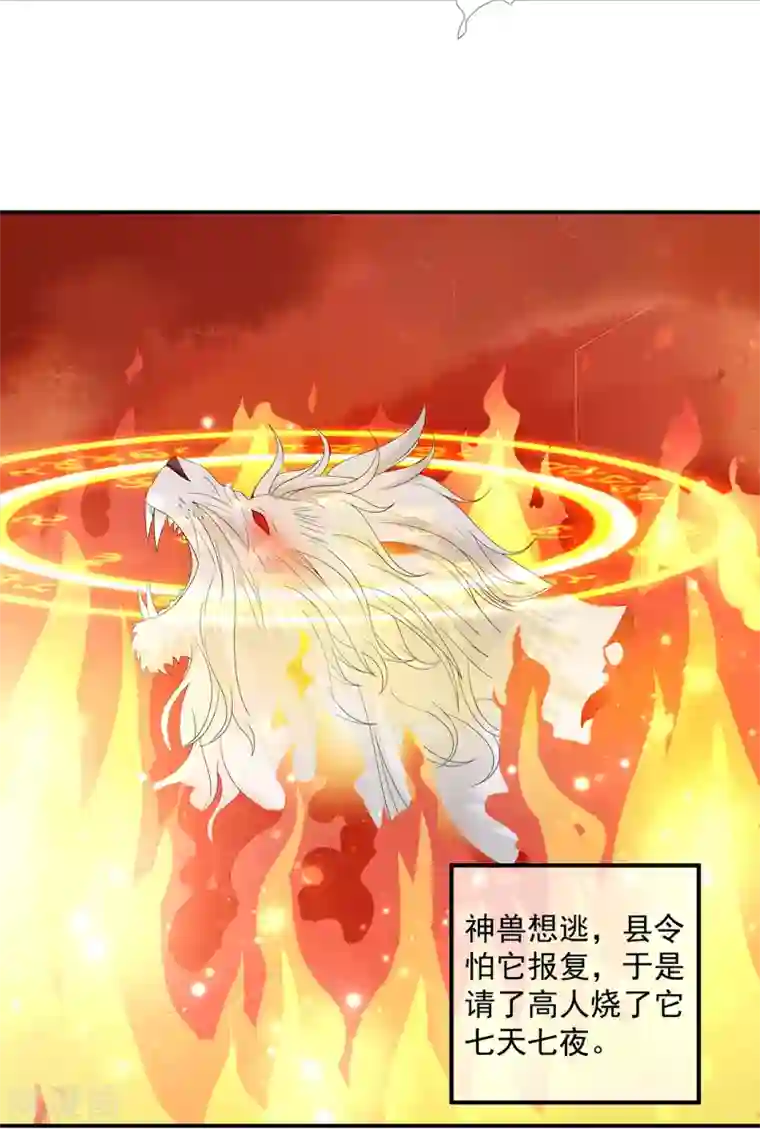 狐妃,别惹我第68话 云府逸闻