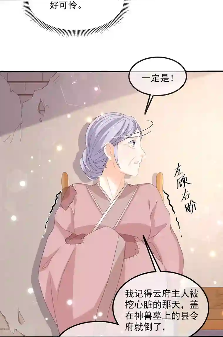 狐妃,别惹我第68话 云府逸闻