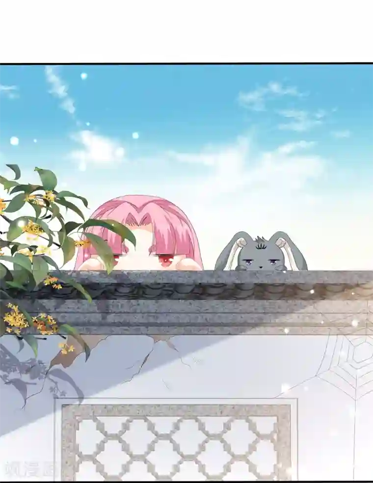 狐妃,别惹我第68话 云府逸闻