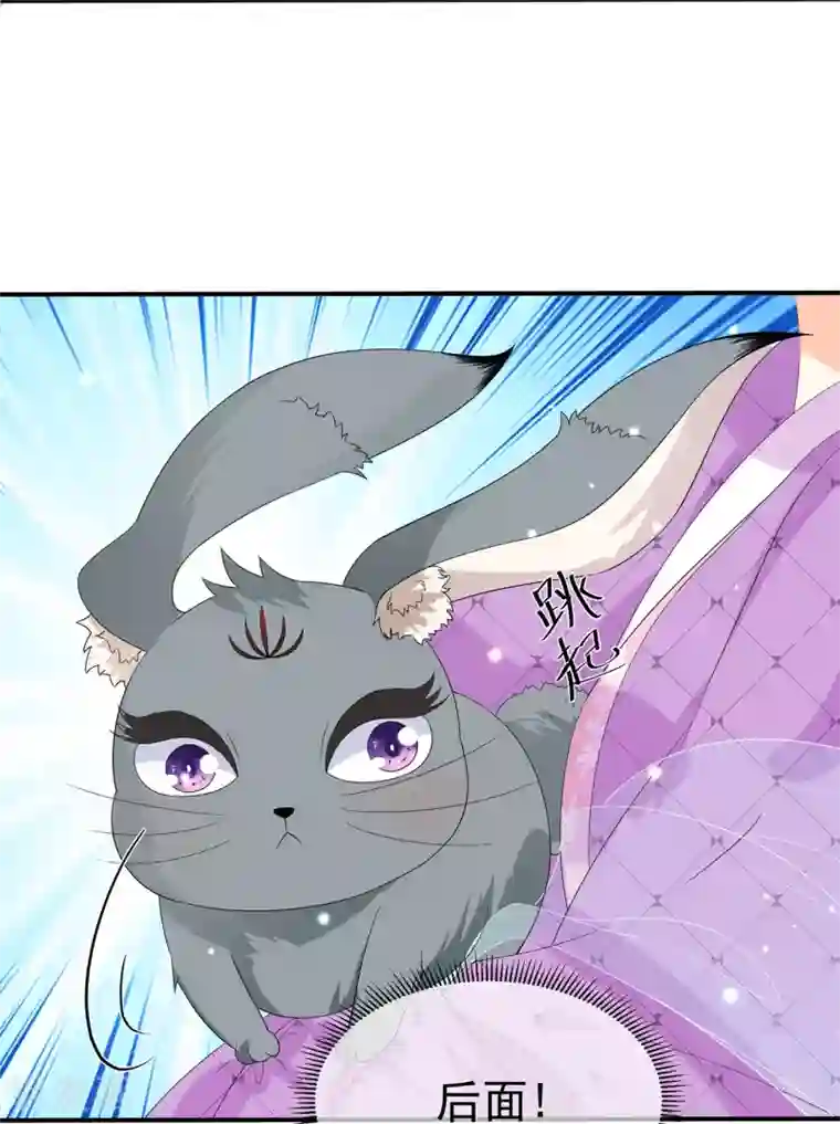 狐妃,别惹我第68话 云府逸闻