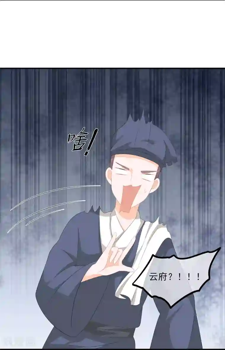 狐妃,别惹我第68话 云府逸闻