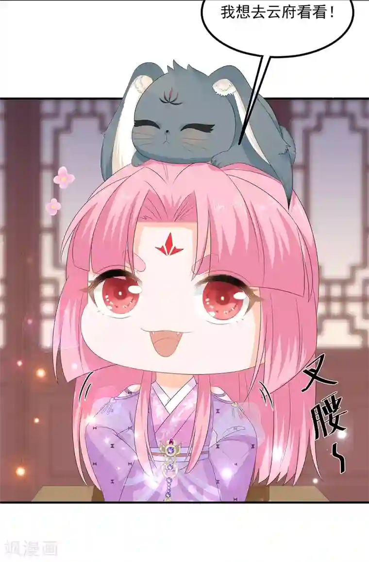 狐妃,别惹我第68话 云府逸闻