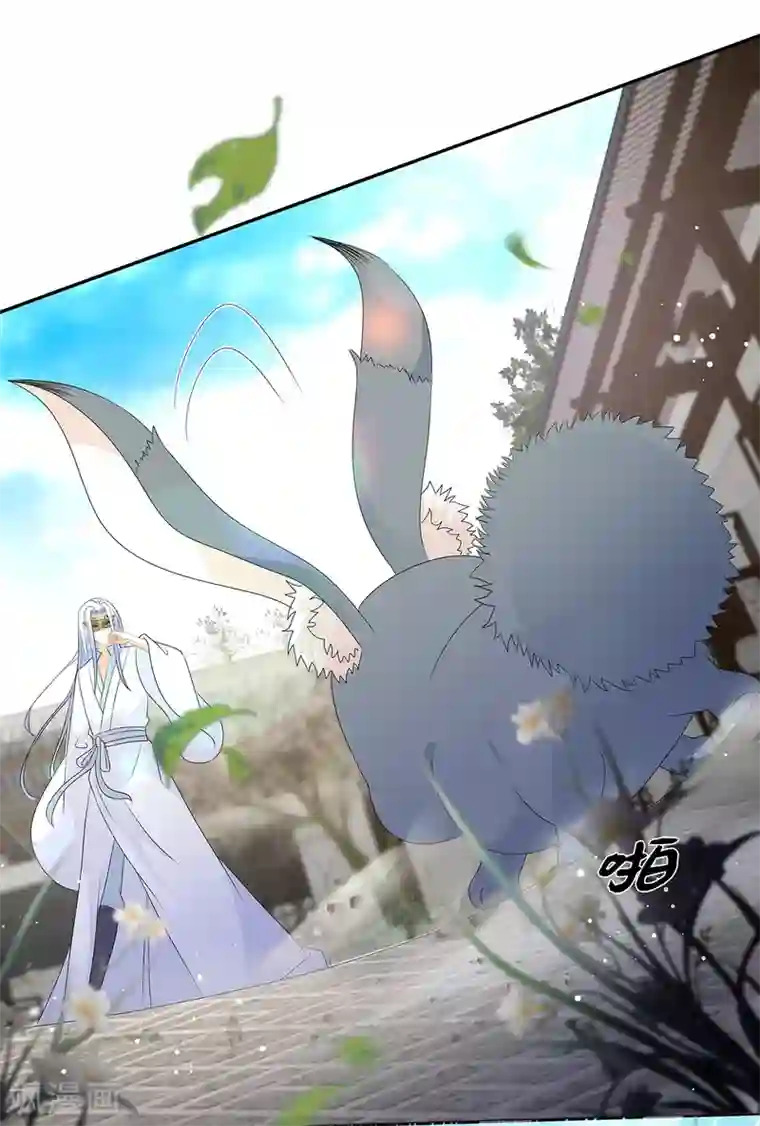 狐妃,别惹我第69话 他的身世