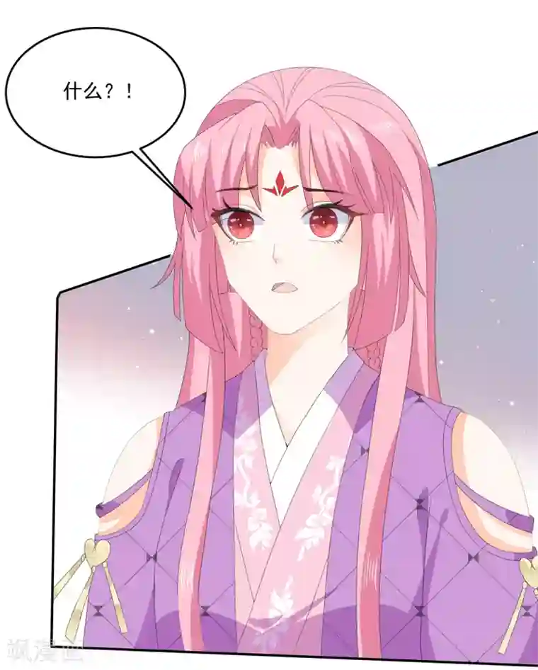 狐妃,别惹我第69话 他的身世