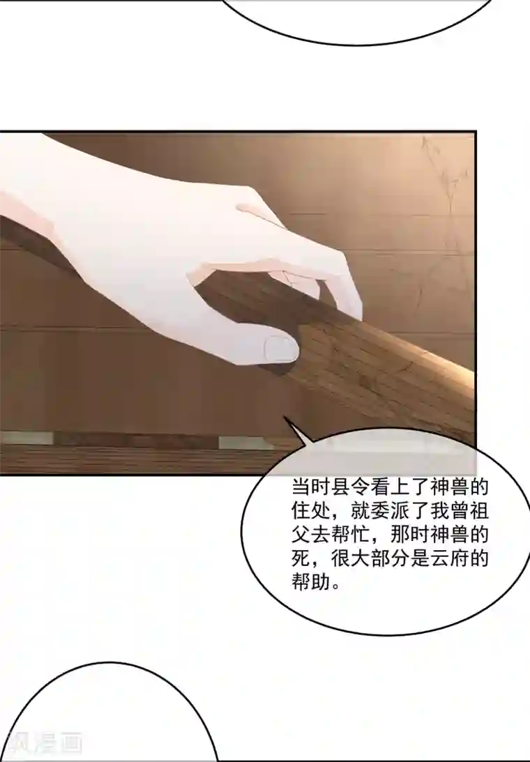 狐妃,别惹我第69话 他的身世