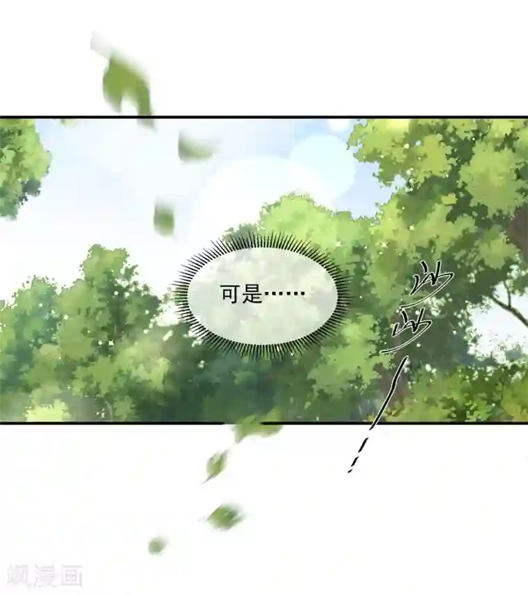 狐妃,别惹我第70话 云府主人？