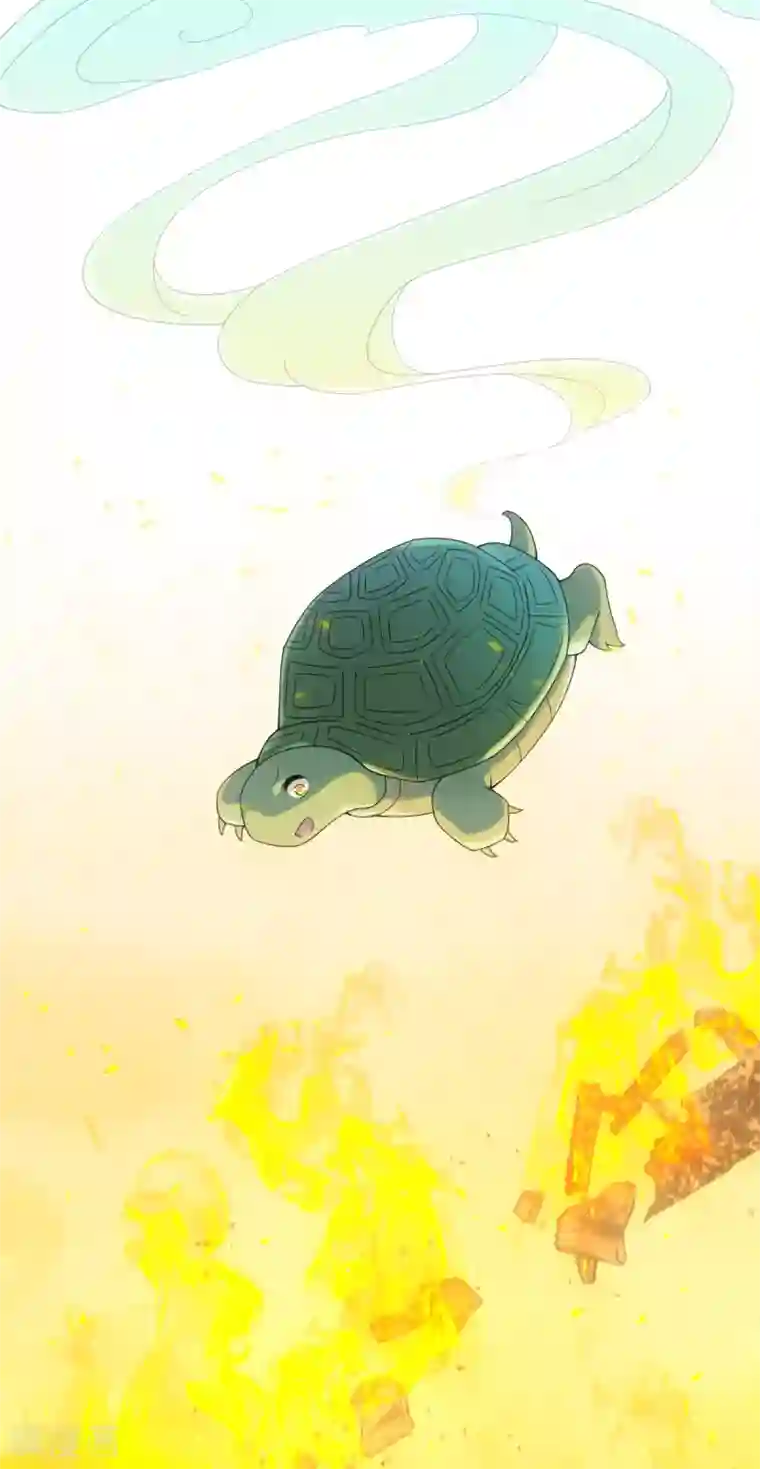 今天也没变成人第78话 王八怎么了？