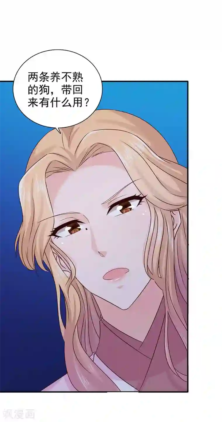 窈窕君子 女将好逑第66话 关防图