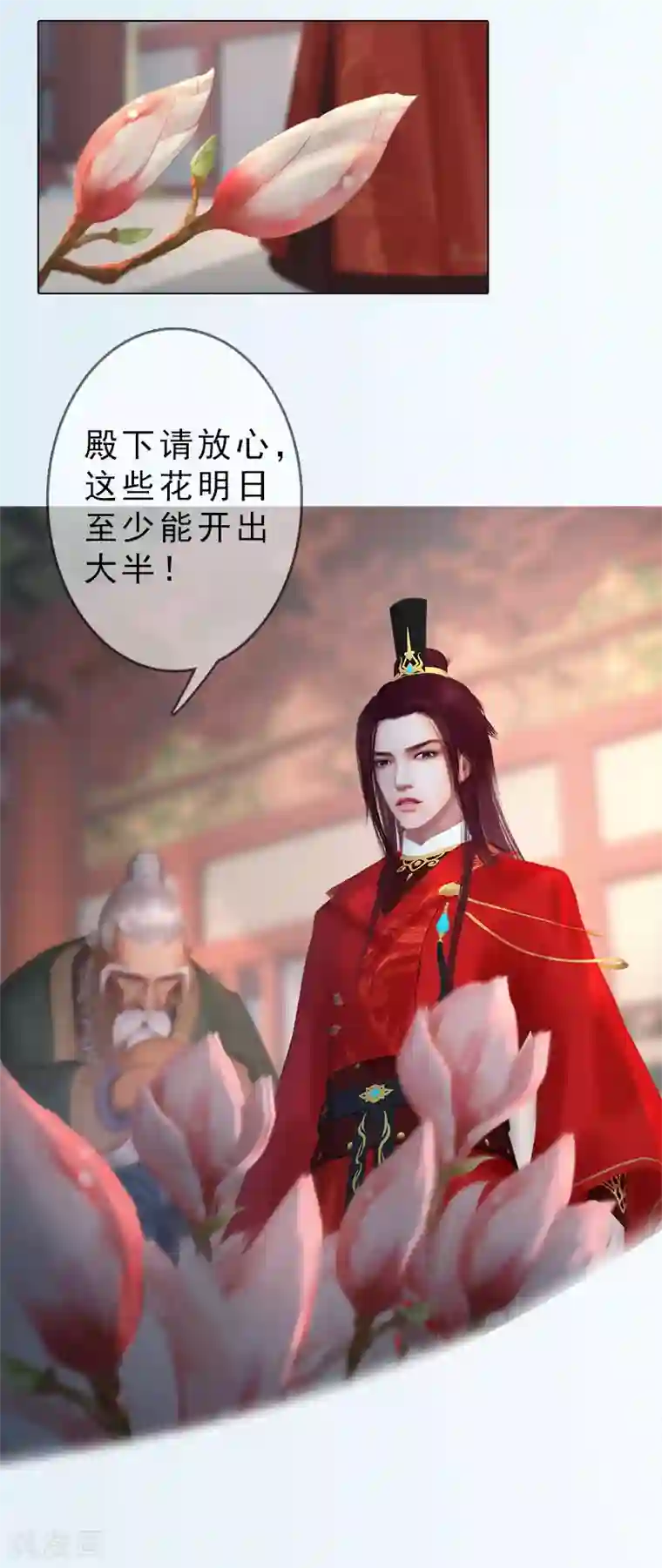 同心结第38话 玉兰花开