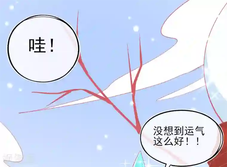 本王妃神藤在手第37话 冰晶魔蛛