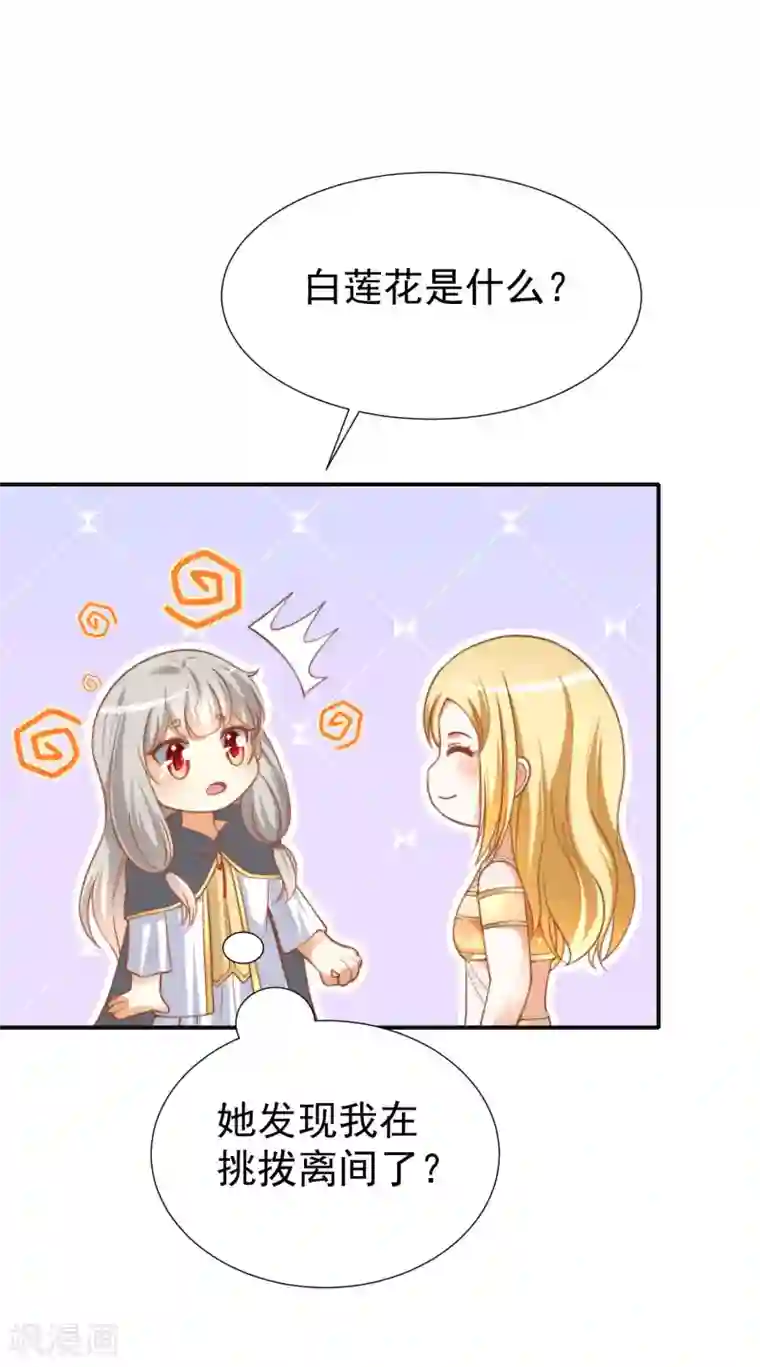 王的第一宠后第33话 盛世白莲花