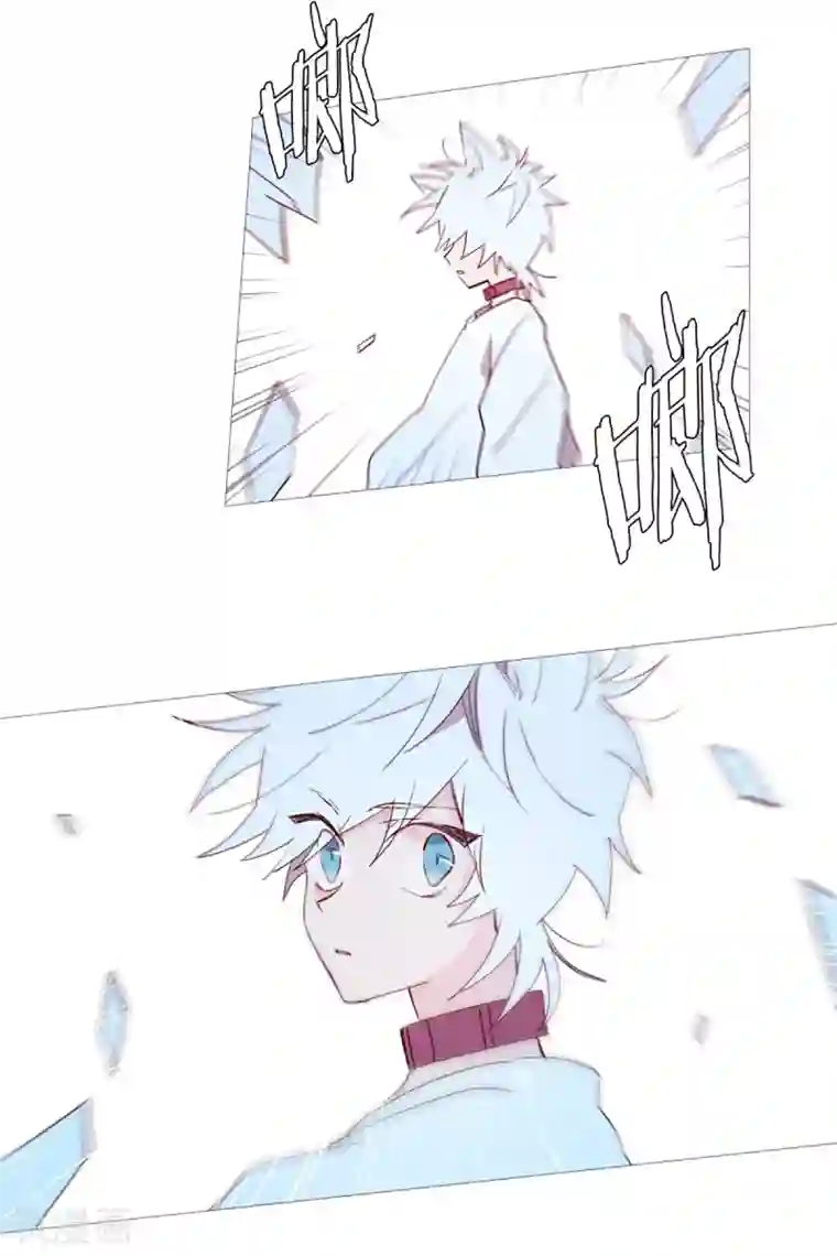 动物灵魂管理局第52话 我的身边