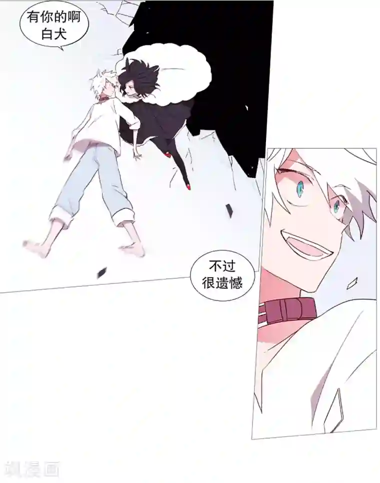 动物灵魂管理局第52话 我的身边