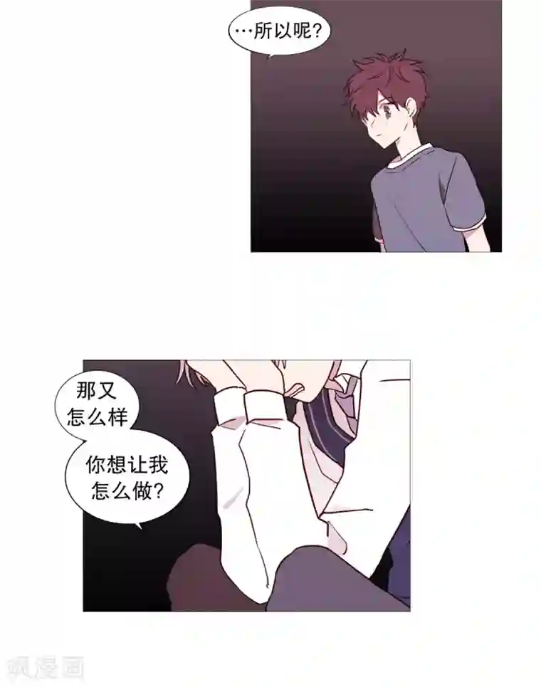 动物灵魂管理局第52话 我的身边