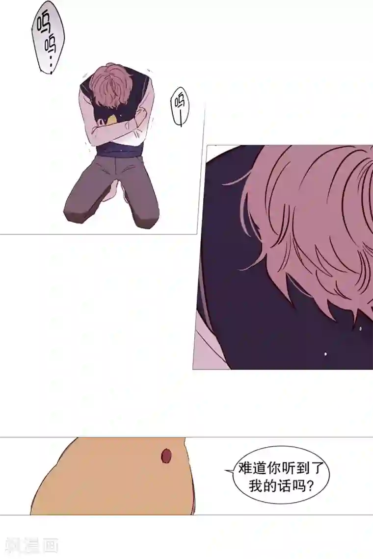 动物灵魂管理局第53话 小毅与小鸡