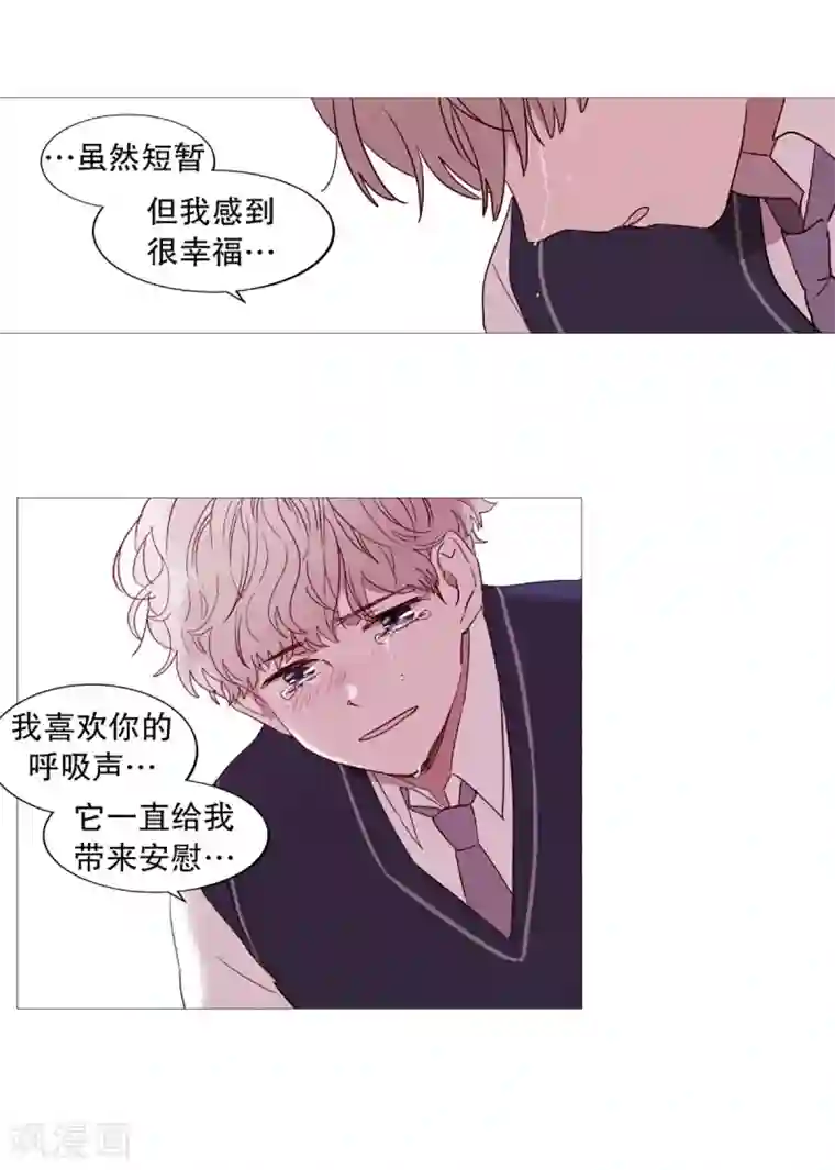 动物灵魂管理局第53话 小毅与小鸡