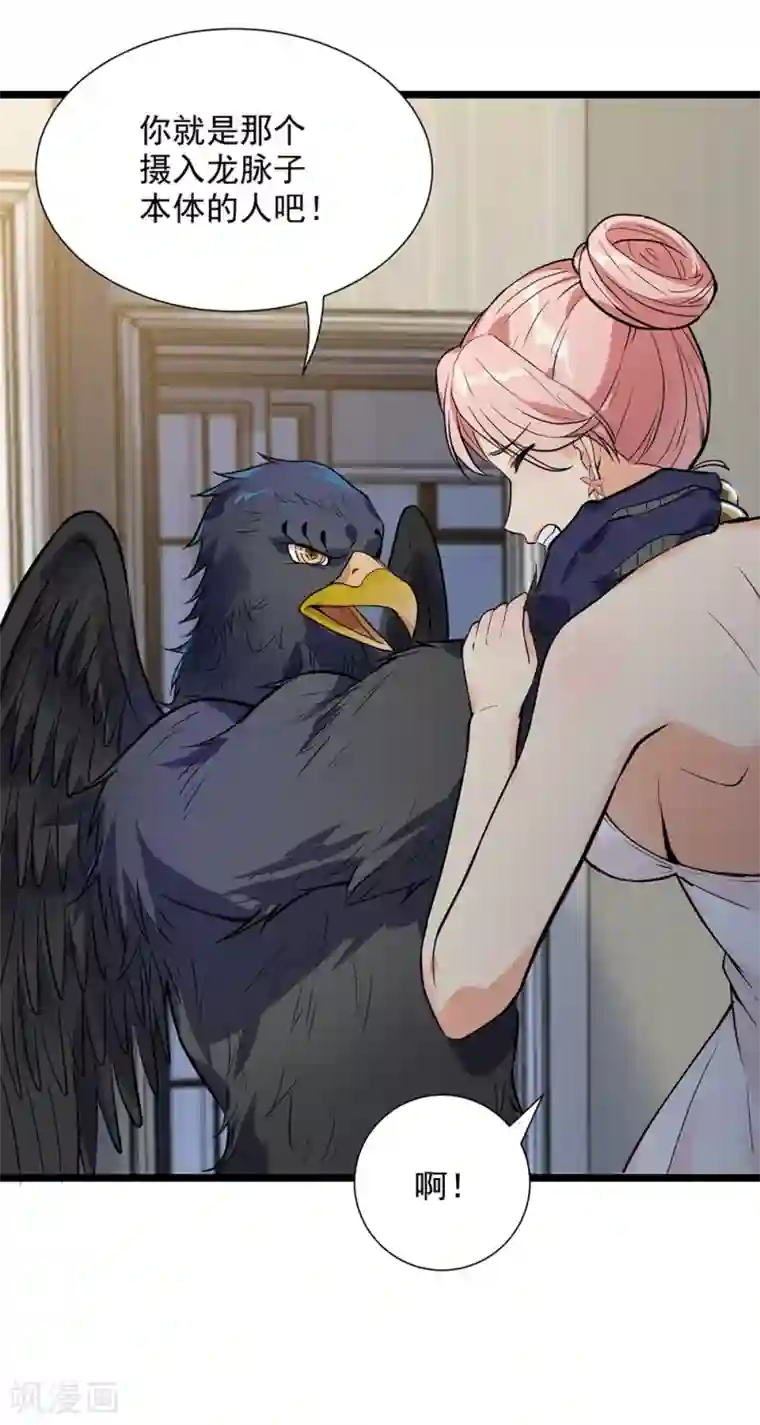 巅峰强少第48话 激斗！守护化身