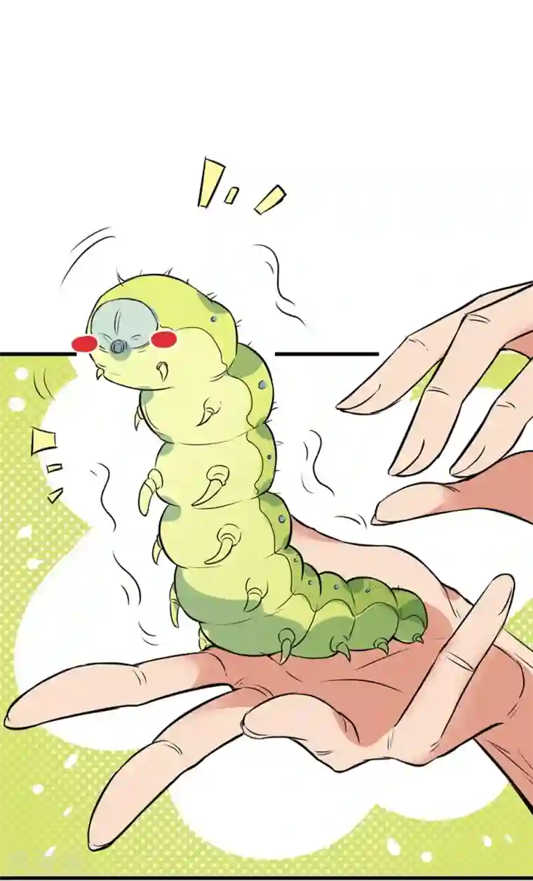 巅峰强少第62话