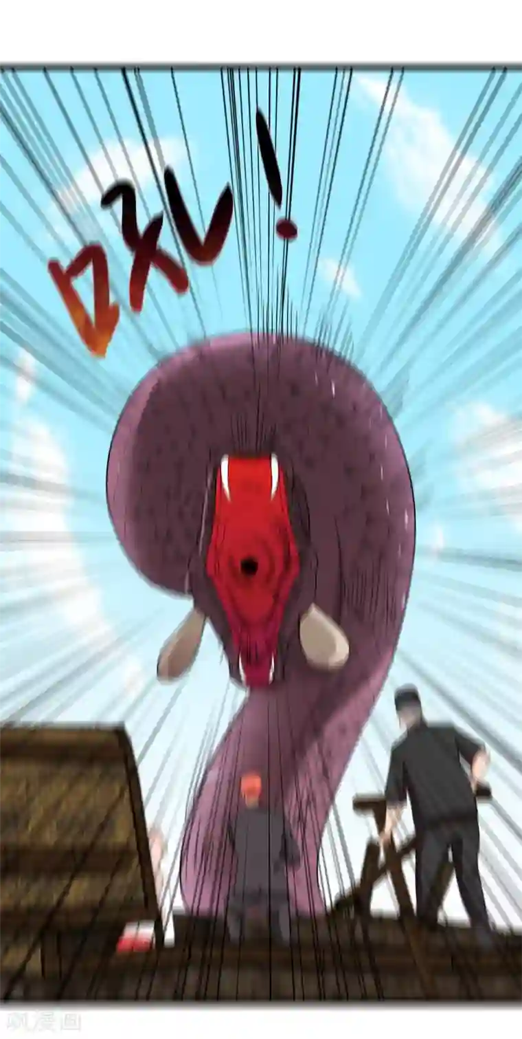 巅峰强少第66话