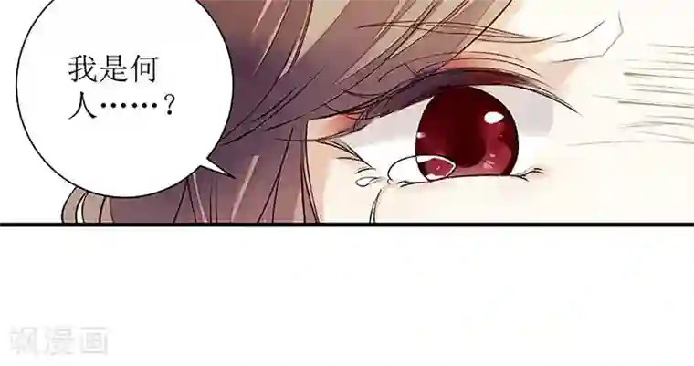 一品嫡女第22话 仇人相见