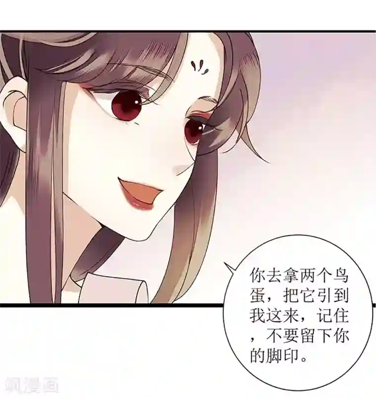 一品嫡女第36话 布局反击