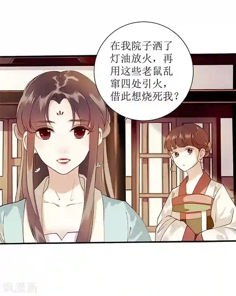 一品嫡女第40话 抓刺客