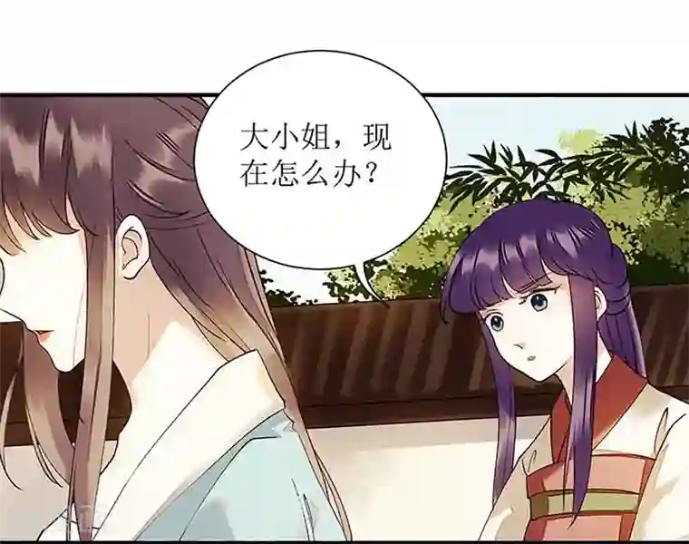 一品嫡女第40话 抓刺客