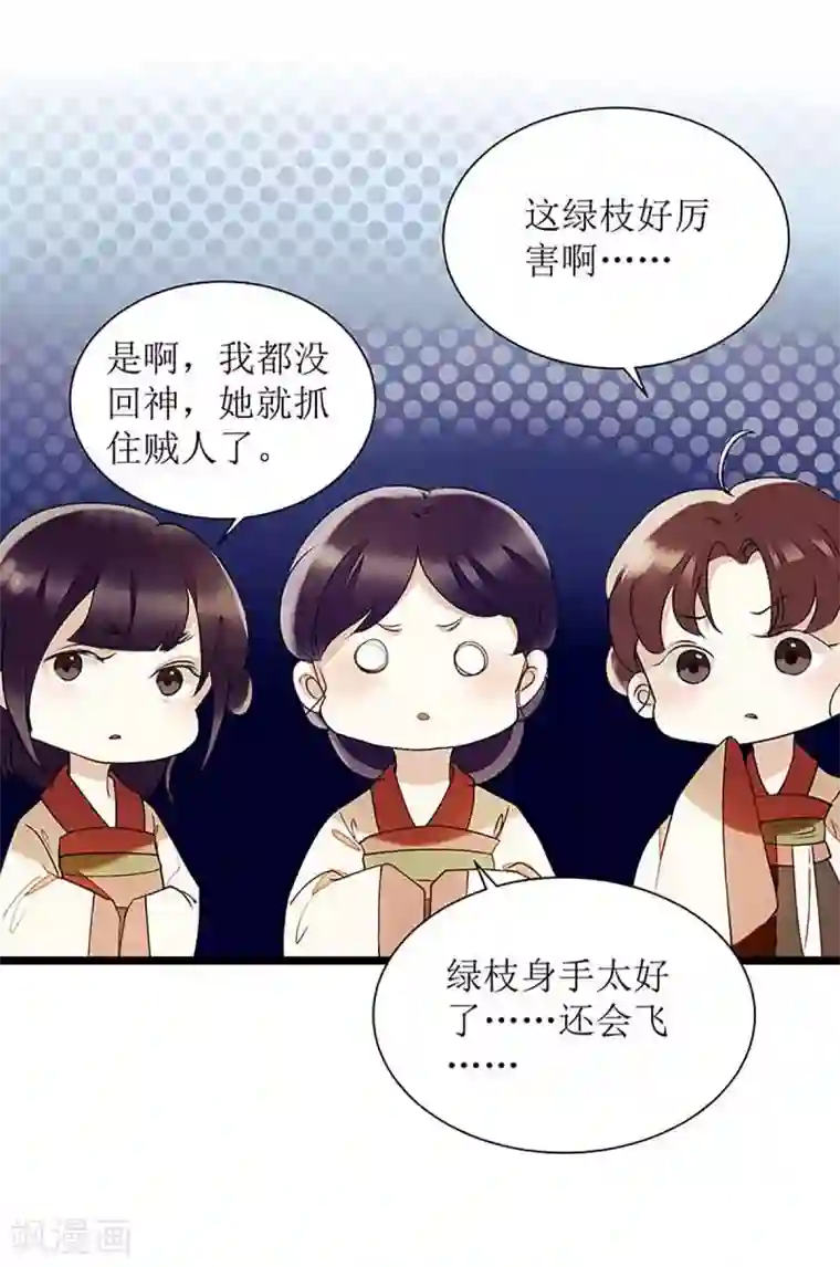 一品嫡女第40话 抓刺客