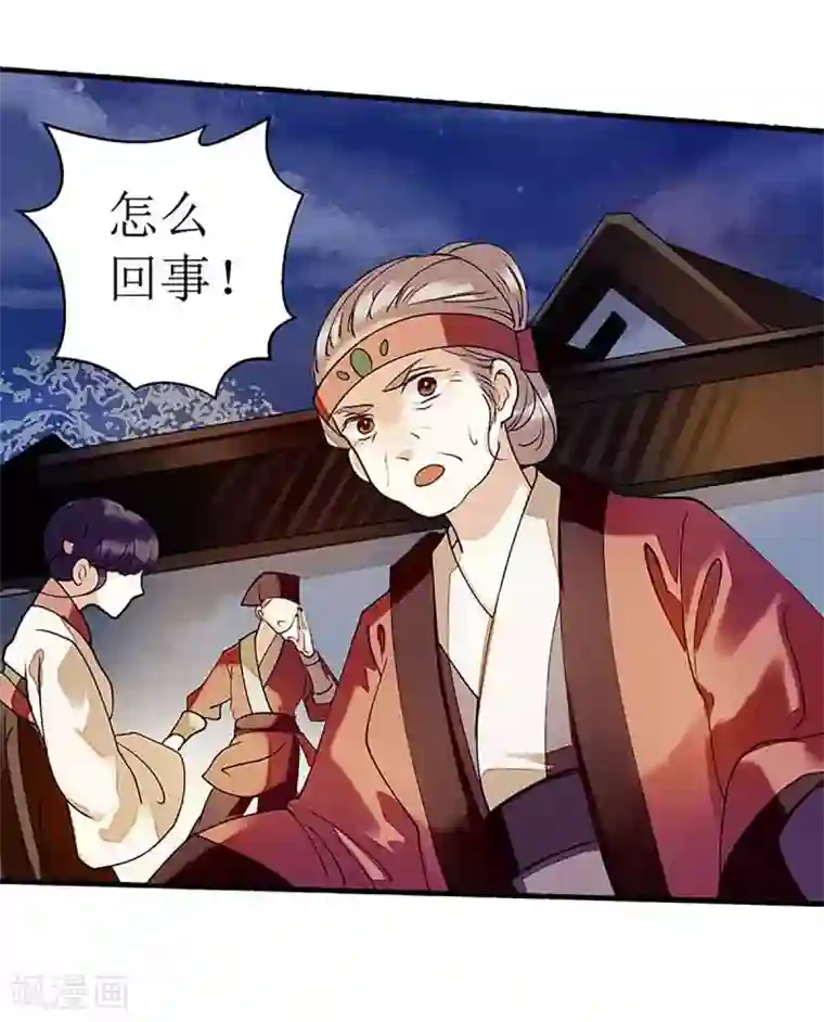 一品嫡女第41话 失火