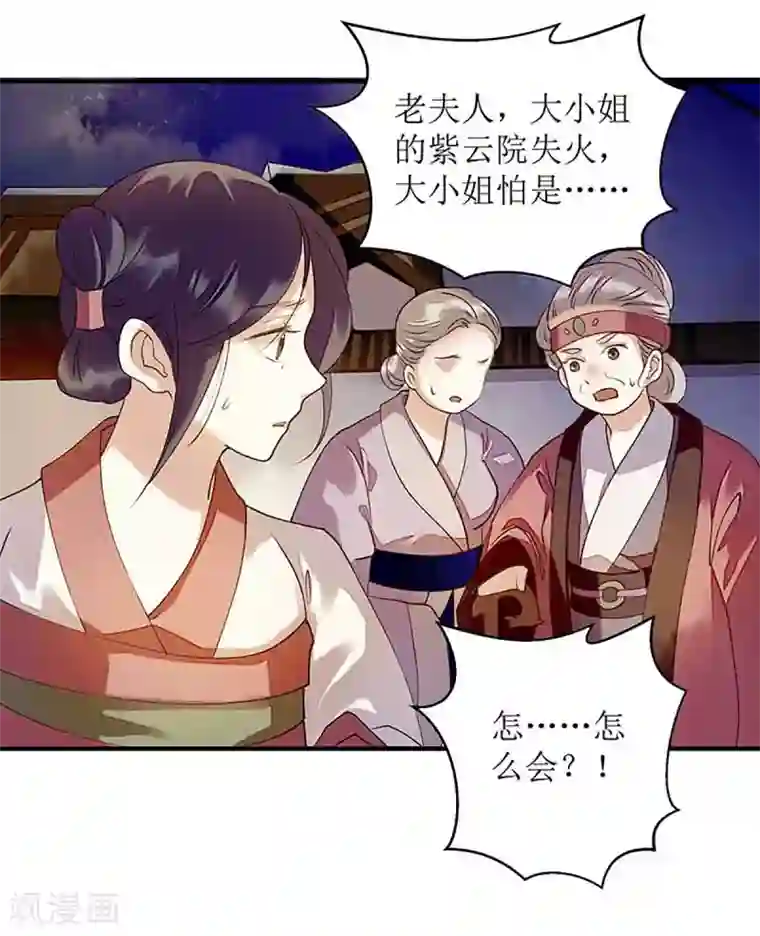 一品嫡女第41话 失火