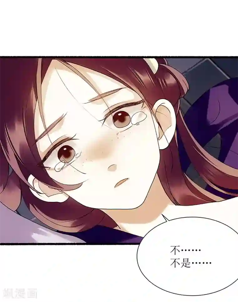 一品嫡女第43话 绿枝的身份