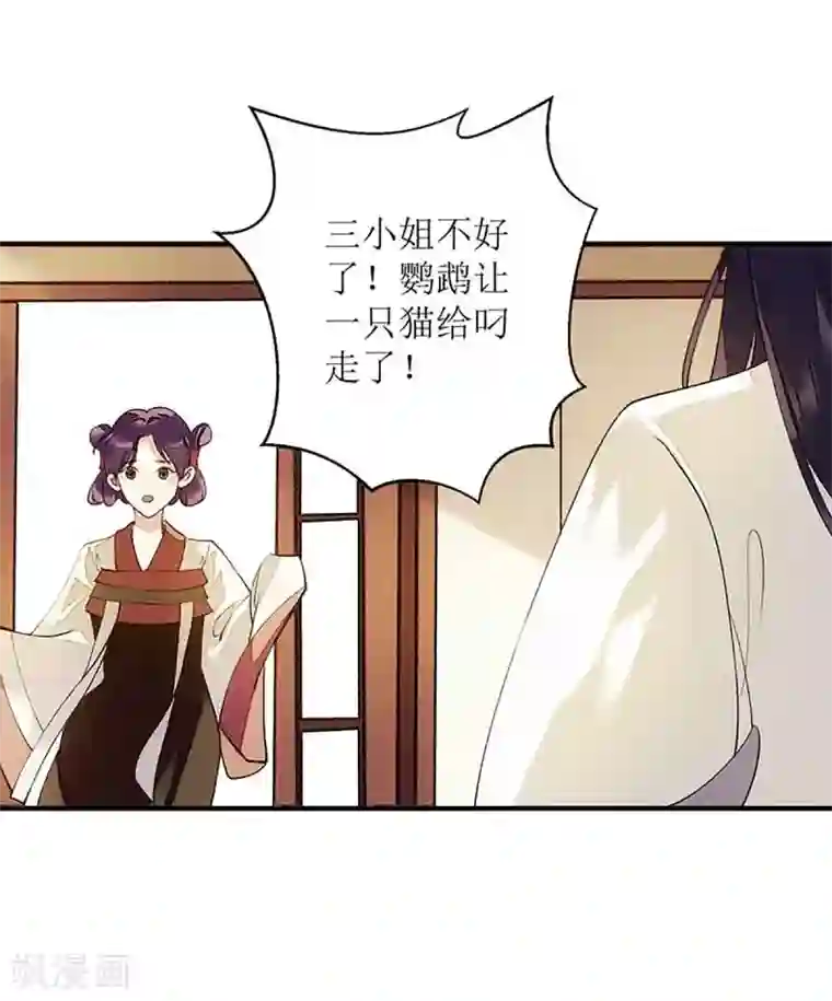 一品嫡女第45话 鹦鹉丢了