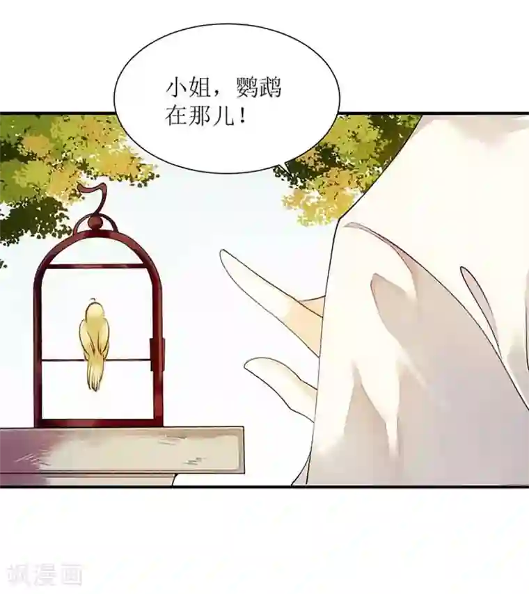 一品嫡女第45话 鹦鹉丢了