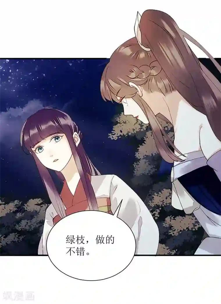 一品嫡女第53话 绿枝爆发