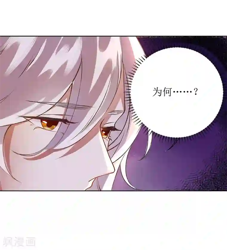 一品嫡女第66话 只是盟友