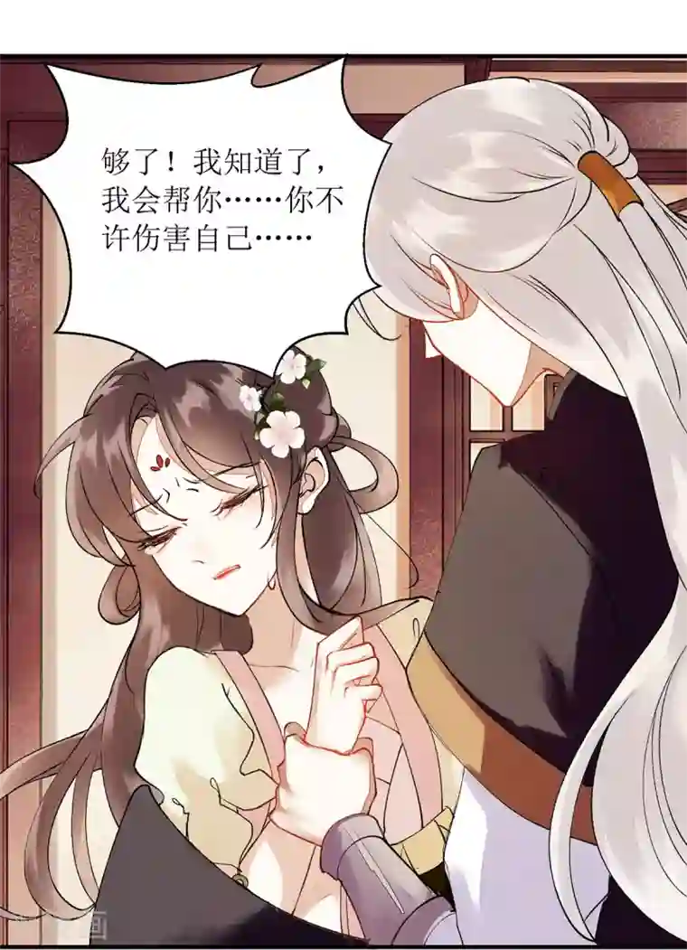 一品嫡女第66话 只是盟友