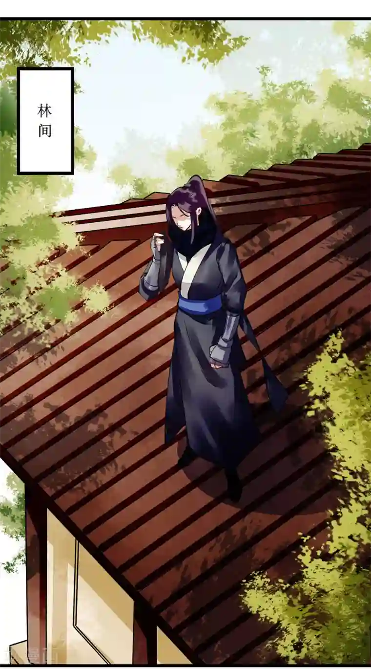 一品嫡女第85话 反击