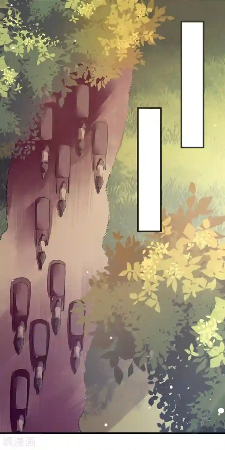 一品嫡女第98话 连诀身份