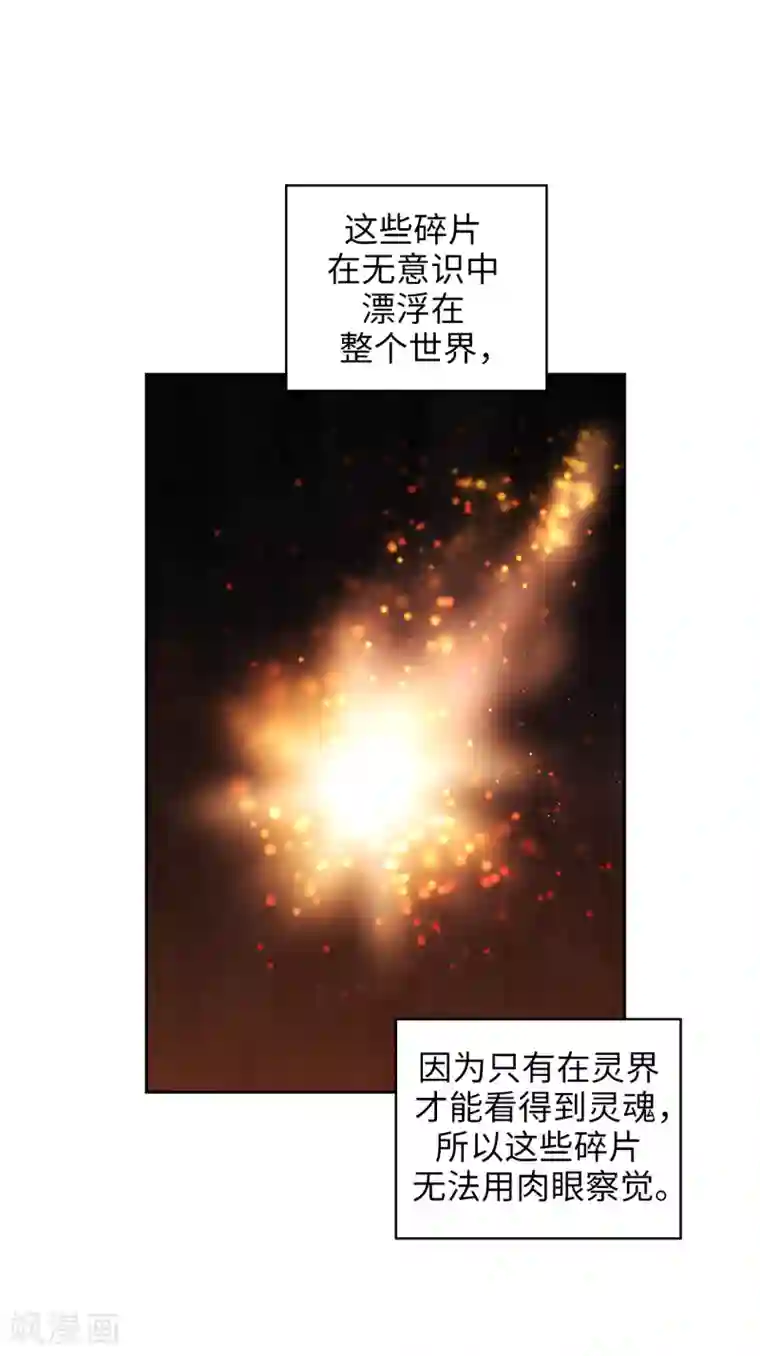 阿多尼斯第277话 双刃剑