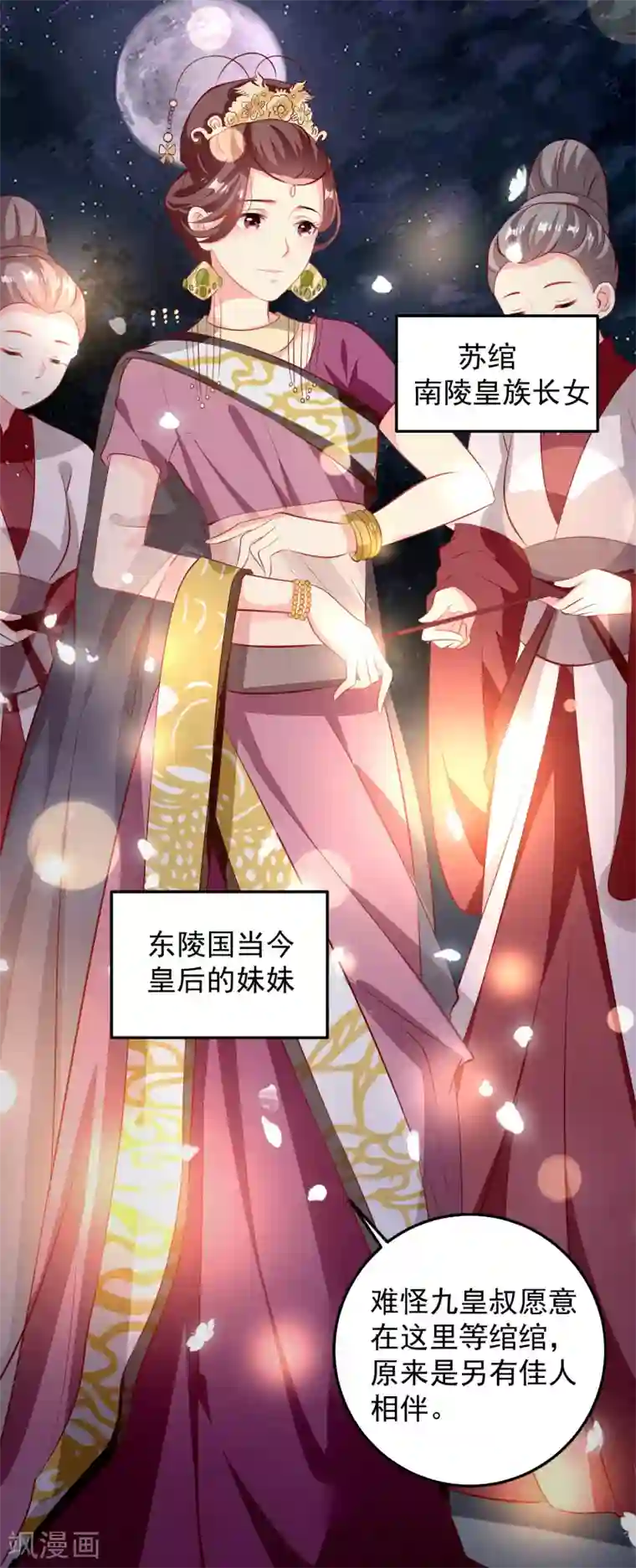 帝凰之神医弃妃第65话 深夜等人