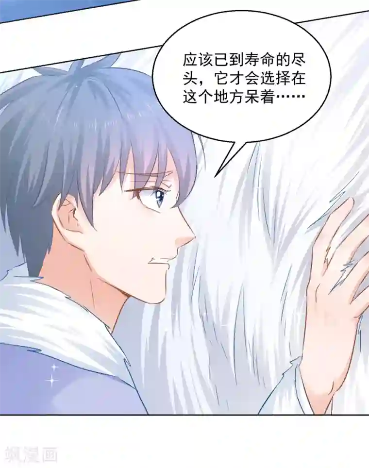 盛宠阴阳妃第79话 发现山神