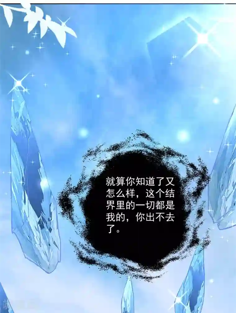 盛宠阴阳妃第80话 结界真相