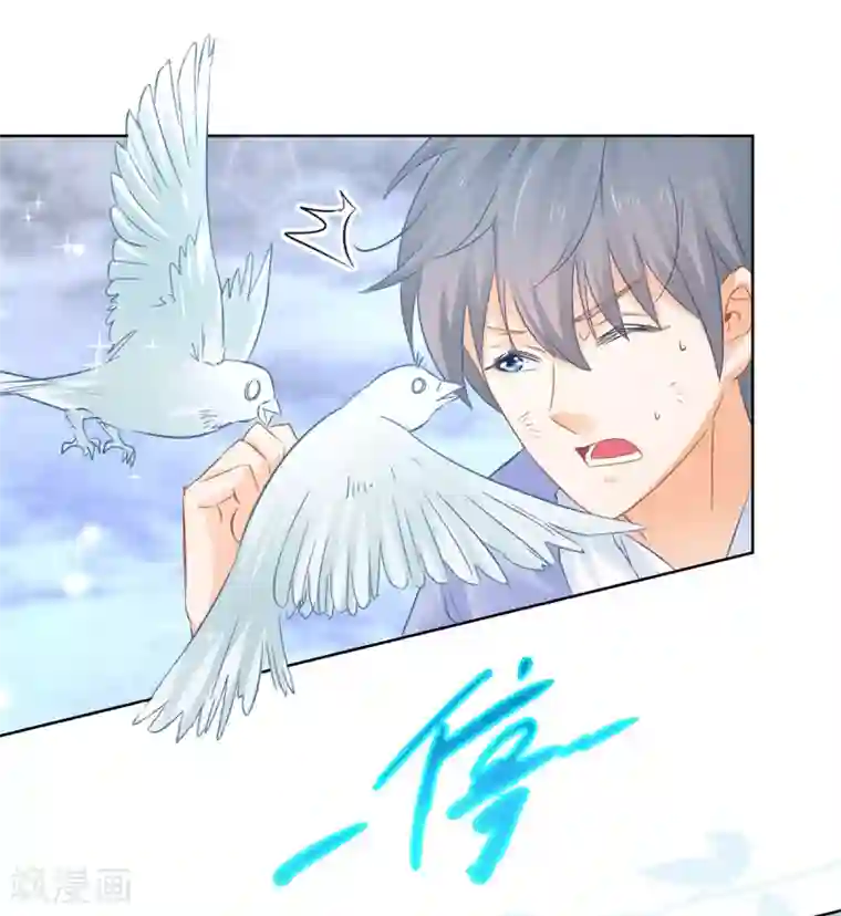 盛宠阴阳妃第80话 结界真相