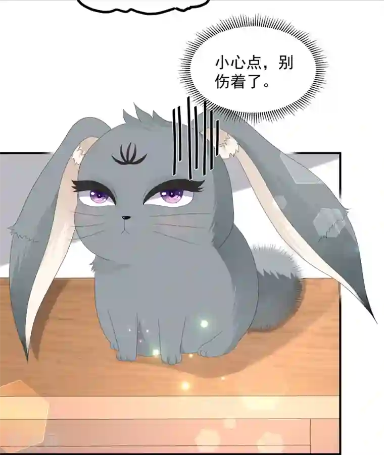 狐妃,别惹我第72话 该结束了