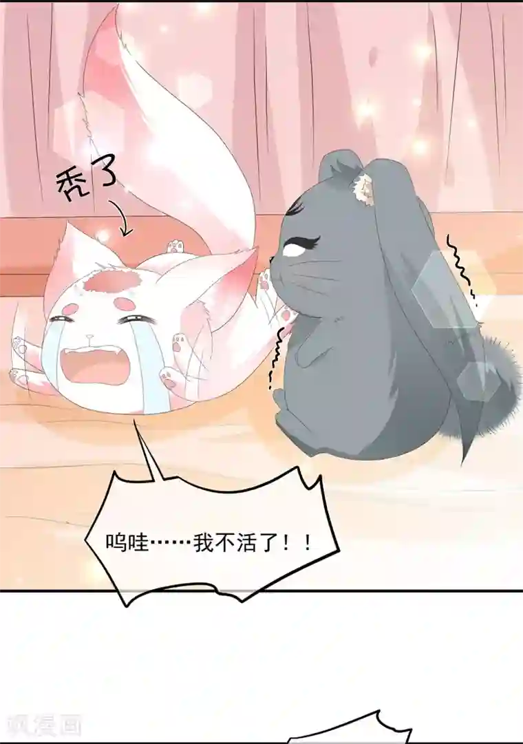 狐妃,别惹我第72话 该结束了