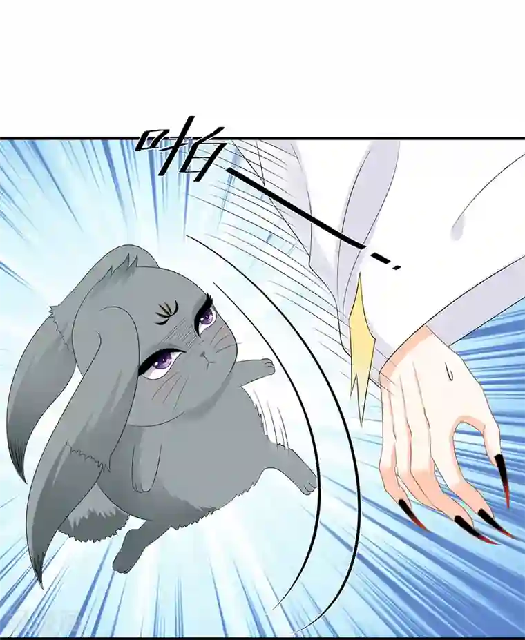 狐妃,别惹我第72话 该结束了