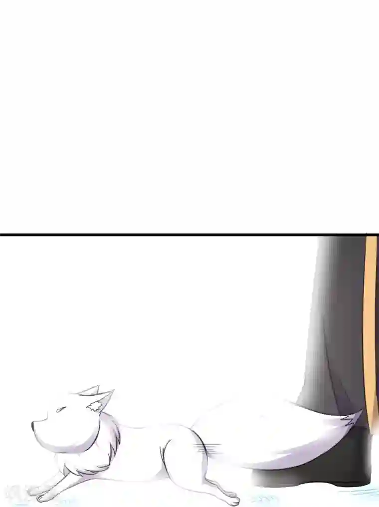 宠狐成妃第324话 苏醒，全员到位